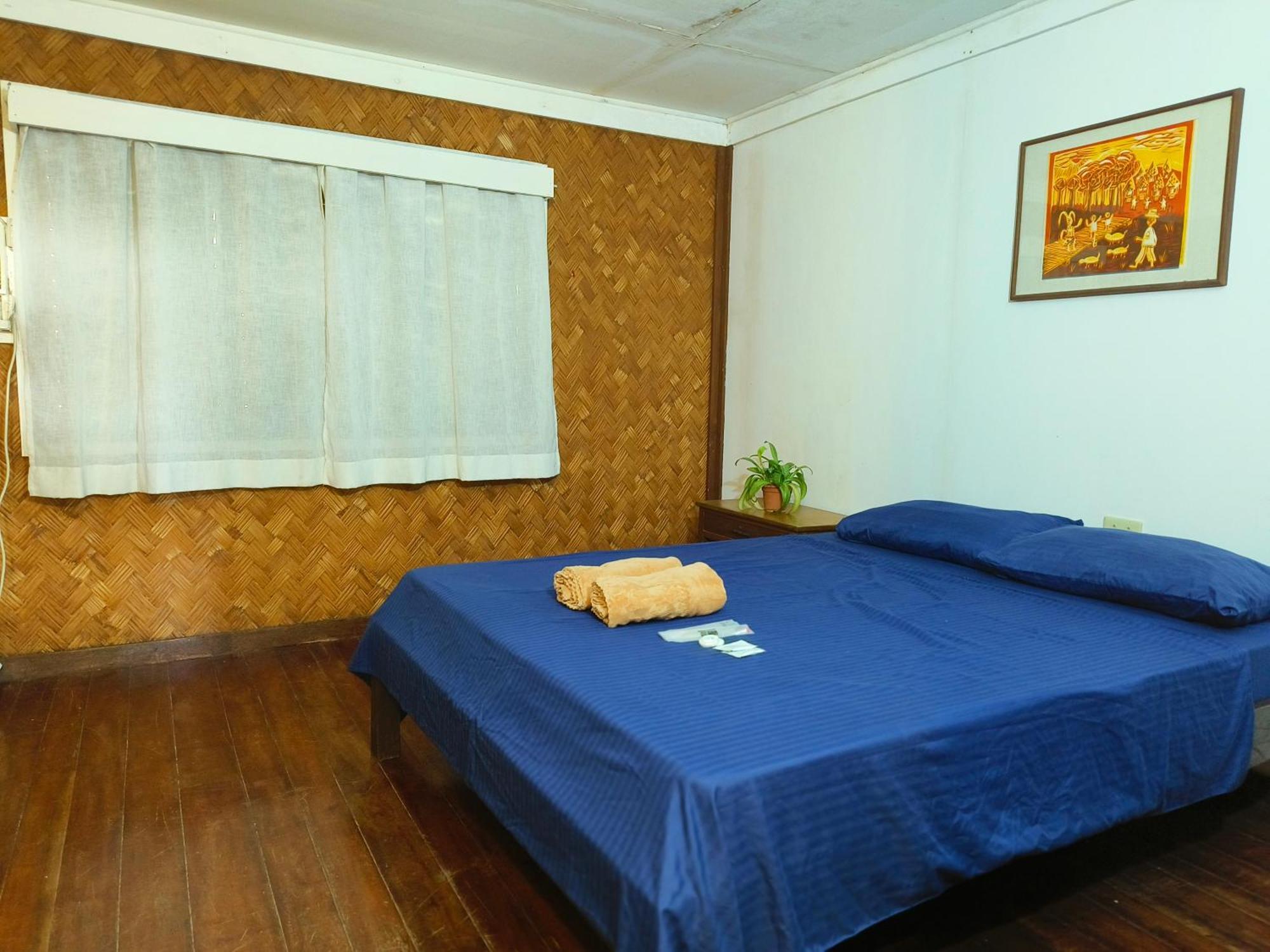 Lokal Hut Bed And Breakfast Puerto Princesa Kültér fotó